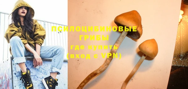 герыч Няндома