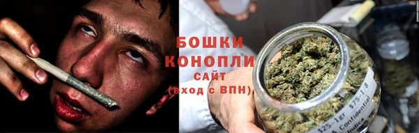 дживик Нягань