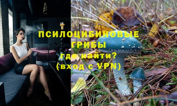 дживик Нягань