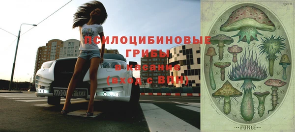 герыч Няндома