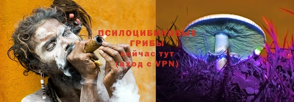 герыч Няндома