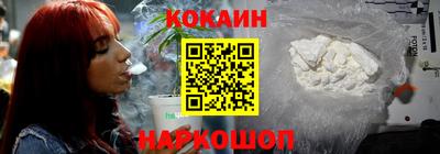 СК Гатчина