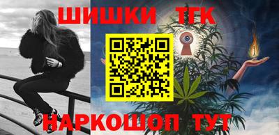 СК Гатчина