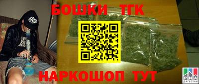 СК Гатчина