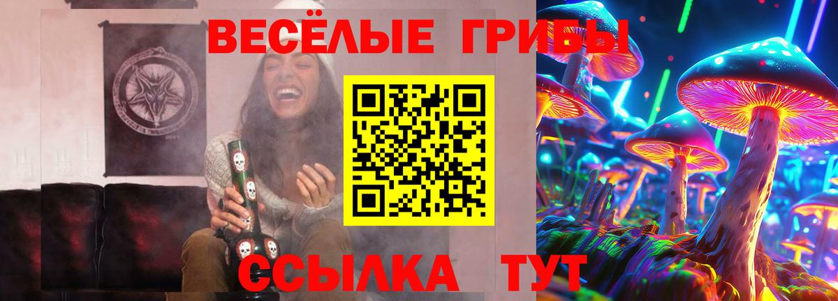 Ивантеевка  Псилоцибиновые грибы мицелий  закладка  Галлюциногенные грибы Magic Shrooms  Вход с VPN 