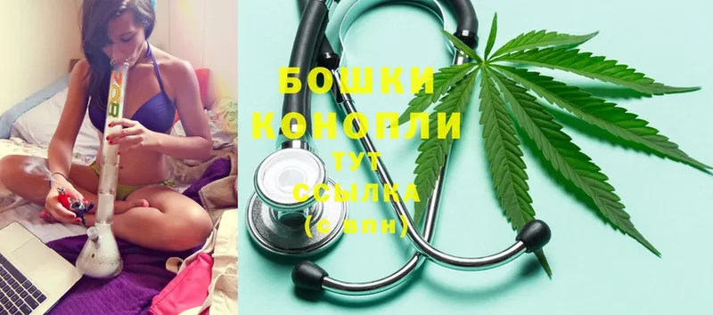 Бошки Шишки THC 21%  сколько стоит  Ивантеевка 